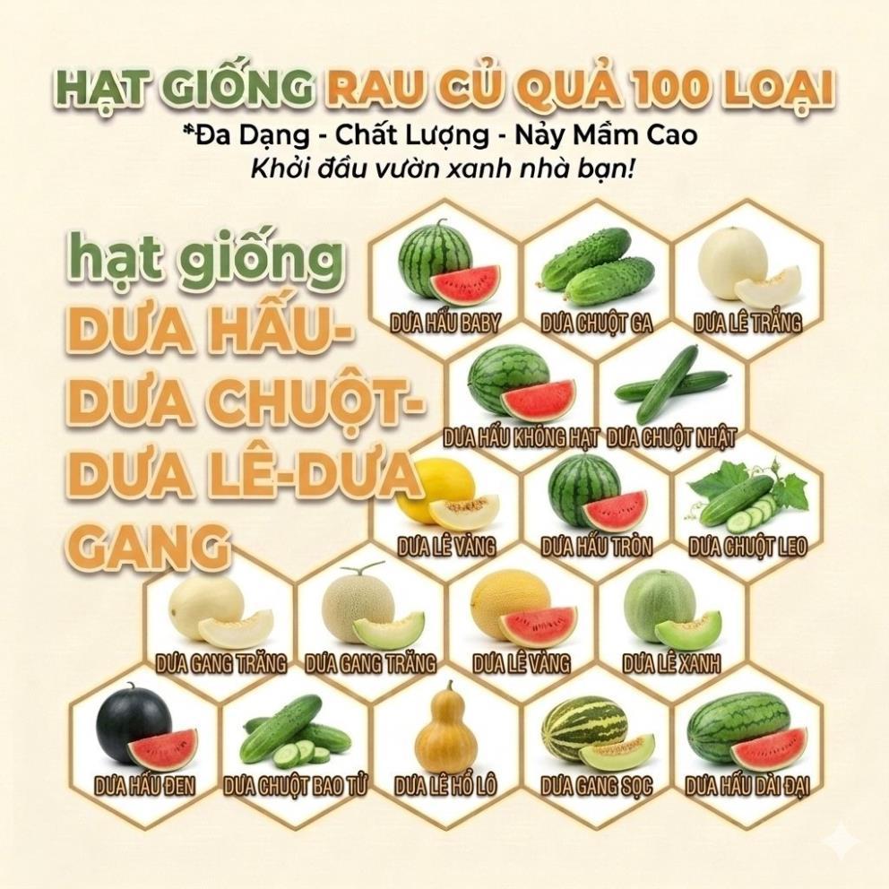 # Hat Giống Dưa Chuột Dưa Leo Dưa Hấu Dưa Lê Dưa Bở Dưa Gang dễ trồng bốn mùa