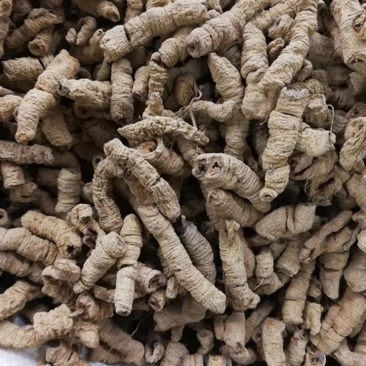 Thảo Mộc Truyền Thống Ba Kích Tím Khô 500g loại 1 Tươi Sạch Chất Lượng Cao