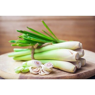 TRÀ SẢ TRƯỜNG NIÊN (Lá trà bancha, Sả)