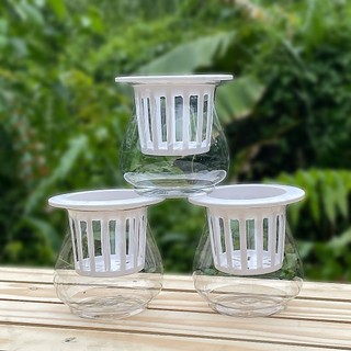 [5 Cái] Chậu Nhựa Thuỷ Canh (13x13)