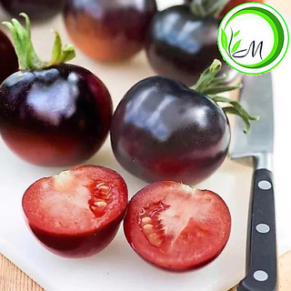 Hạt giống cà chua cherry đen