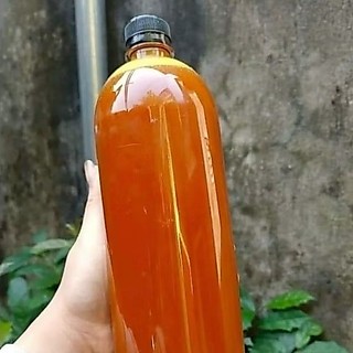 Mật ong phấn hoa rừng
