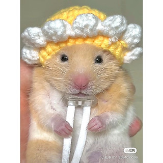 Mũ dễ thương cho chuột hamster (link 1)