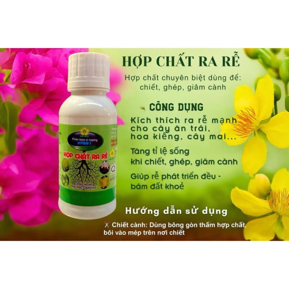 HB 101 Nhật Bản , Phục Hồi Cây Suy Yếu, Tăng Cường Ra Rễ Và Thúc Đẩy Hồi Phục Cây Suy Yếu,Kích rễ hb