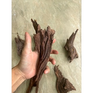 Lũa Bé Trang Trí Bể Cá - Bể Thủy Sinh
