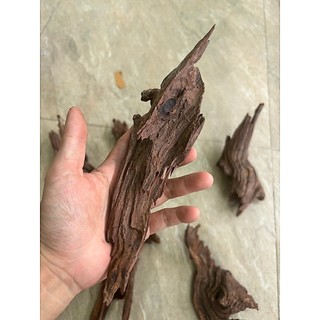 Lũa Bé Trang Trí Bể Cá - Bể Thủy Sinh