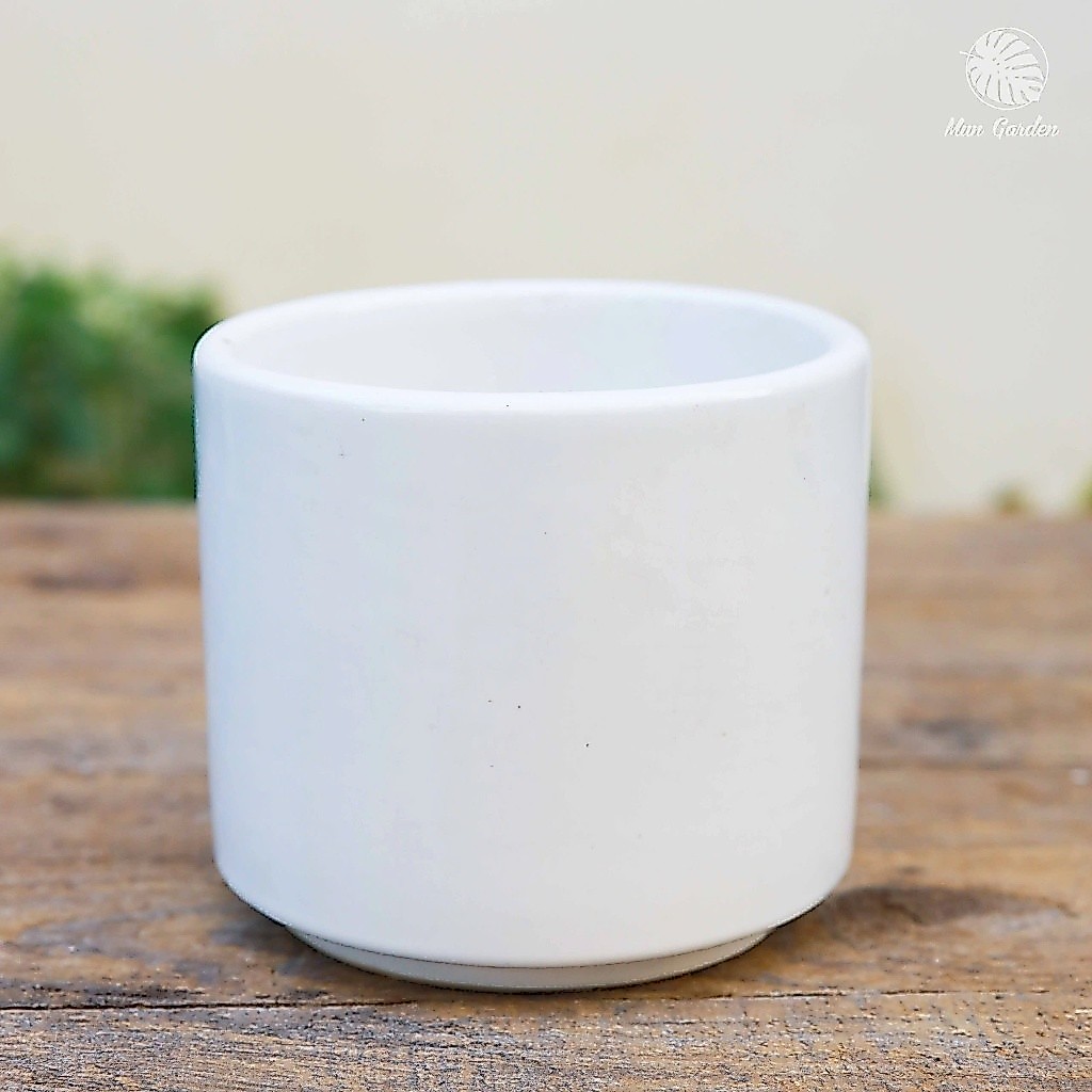 Chậu Trụ Tráng Men Trắng 18x18