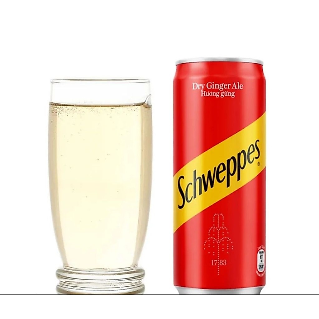 [ Pha chế ] 6 lon Ginger Ale giải khát, pha chế cocktail 320ml