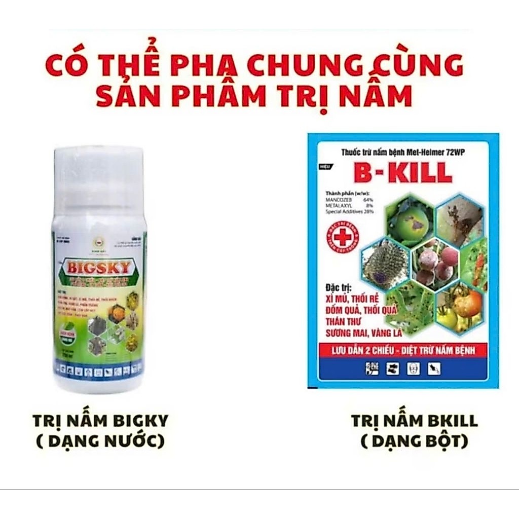 Combo Trị Nấm  BIGSKY+ B-KILL chính hãng công ty Kinh Bắc, chuyên thối rễ, xì mủ, nấm trái.