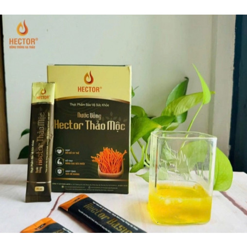 TPBVSK Nước uống Hector thảo mộc thiên nhiên  [ Hàng Công Ty ]