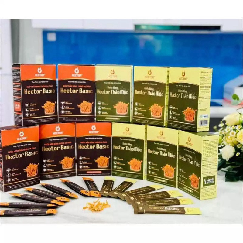 [💯 Chính hãng] Nước Nấm Đông Trùng Hạ Thảo Hector Basic Thảo mộc (hộp 10gói) (Mộc)