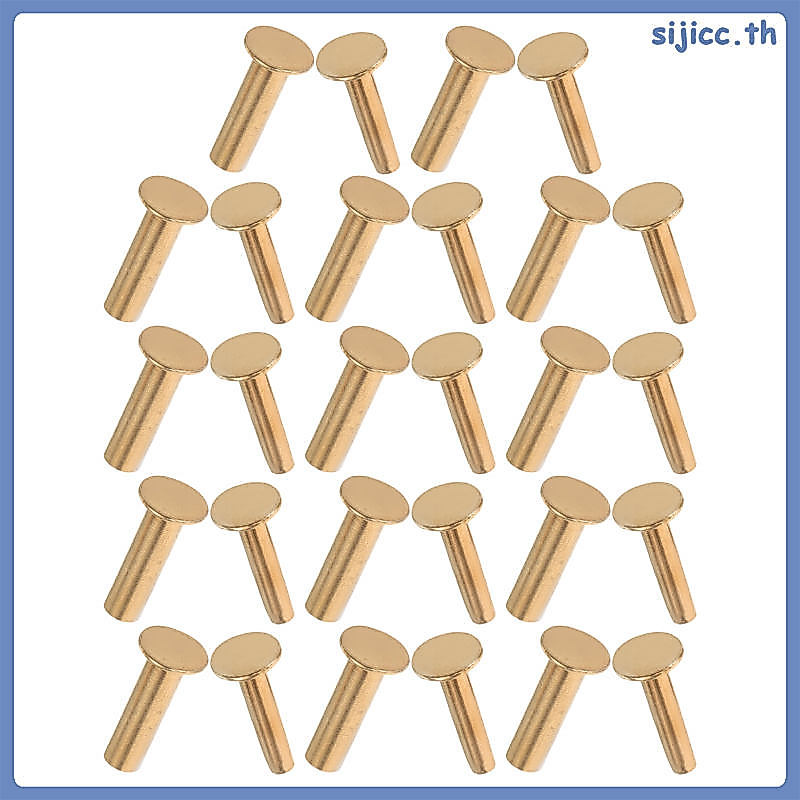 20 Cặp Dụng Cụ Nẹp Dao Làm Đinh Tán Dao Kéo Phần Cứng 1.60X0.70X0.20CM Vàng sijicc