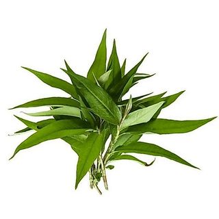 [Giao Hỏa Tốc HCM] Rau răm - 30gr
