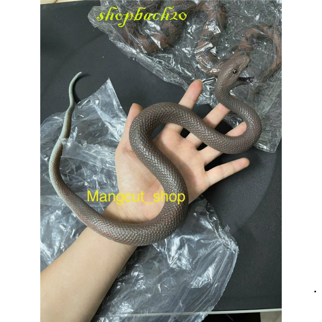 Mô hình rắn giả như thật, Rắn hổ mang giả