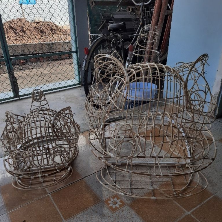 sườn lân mỏ tròn 1m45