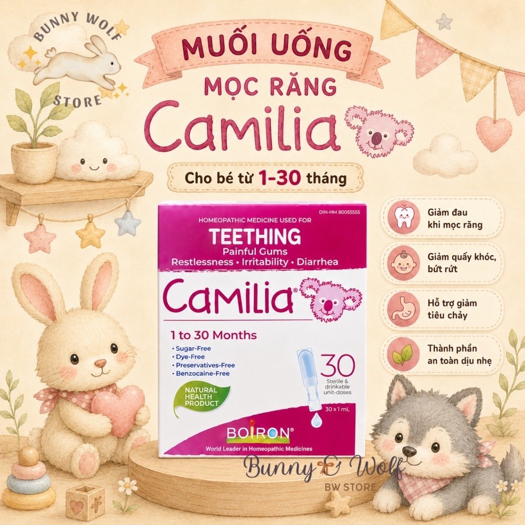 Muối Teething Camilia Boiron hỗ trợ giảm đau mọc răng - Hàng Canada - Hộp 30 Tép