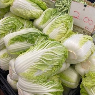 🥬 HẠT GIỐNG CẢI BẸ DÚN – LÁ XOĂN ĐẸP, GIÒN NGON, DỄ TRỒNG