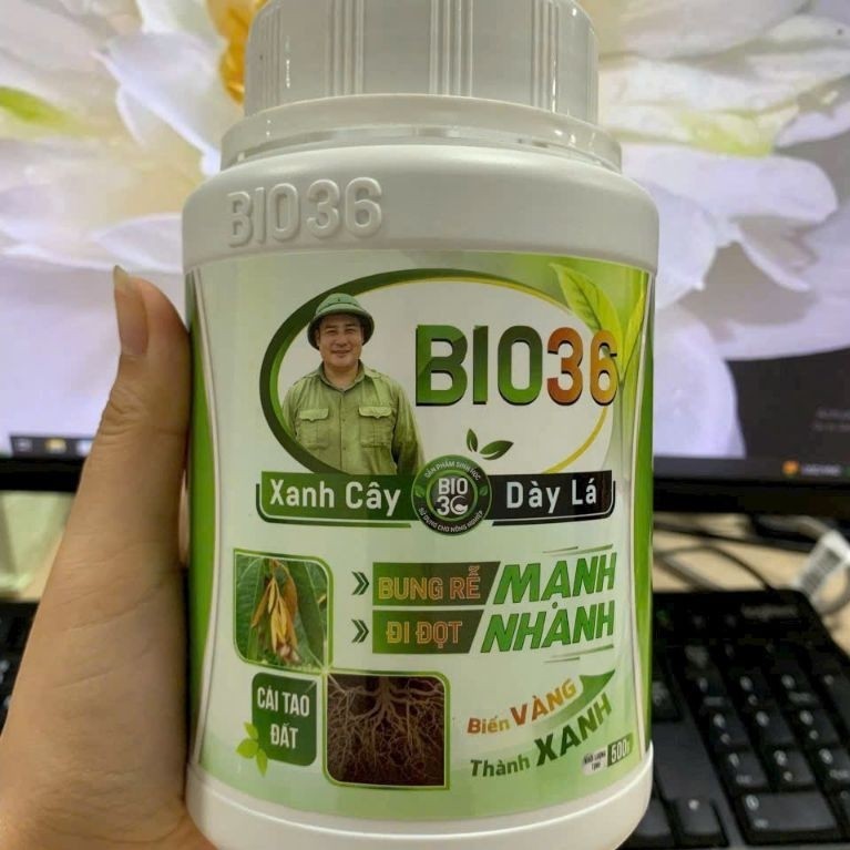 [Chính hãng] Bio 36 500g siêu kích rễ đi đọt nhanh, tăng năng suất, Bio36 khỏe cây dày lá, phục hồi 