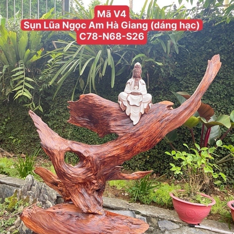 Sụn Mắt Phượng Vip,Lũa đẹp (Gỗ Quý Ngọc Am Hà Giang)