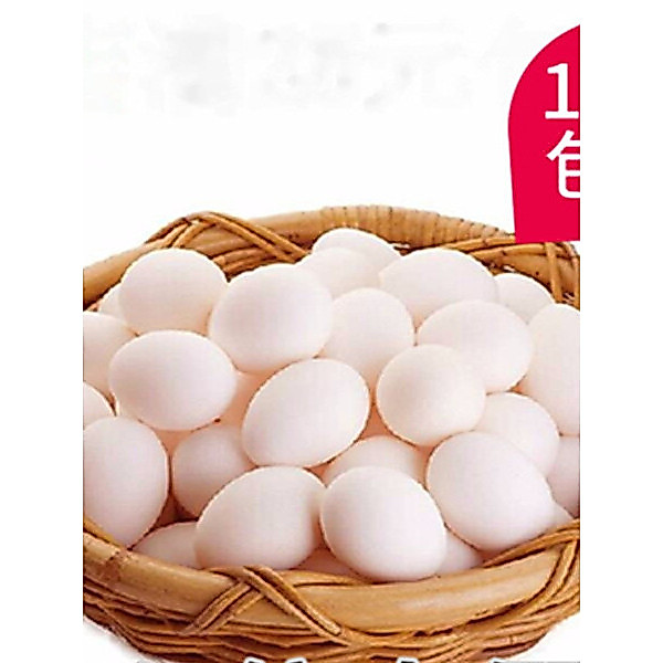 Believe Pigeon Supplies.Pigeon Tool.Saige.Meat Pigeon.Pigeon Mô phỏng an toàn Bồ câu rắn Trứng giả P