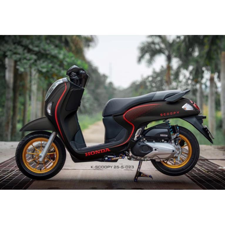 Tem Scoopy 2025-2026 Tem xe