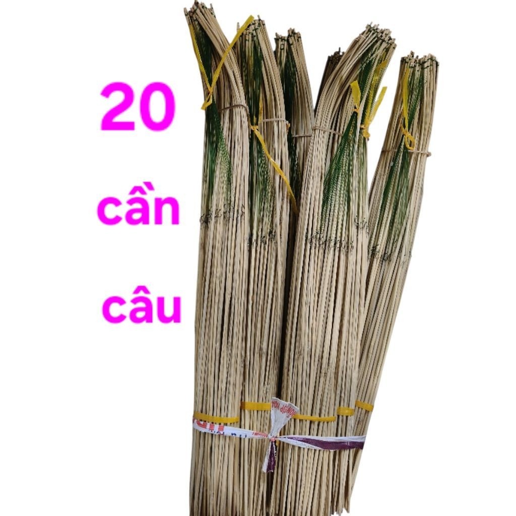 cần câu cá lóc trê rô phi 20 cần