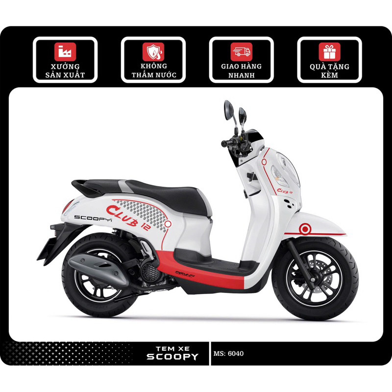 Tem Scoopy Tem xe decal