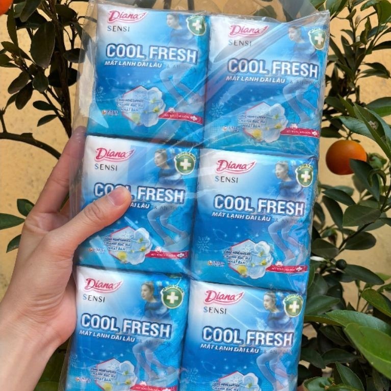 Bvs Dianna Cool Lốc 6 gói (48 miếng) loại có cánh, bạc hà mát lạnh