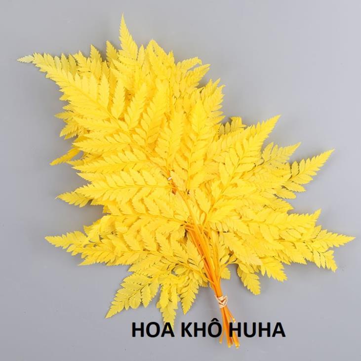 LÁ DƯƠNG XỈ ƯỚP KHÔ DECOR, TRANG TRÍ, CHỤP ẢNH STUDIO (1 LÁ TO) hhh HOA KHÔ LILY