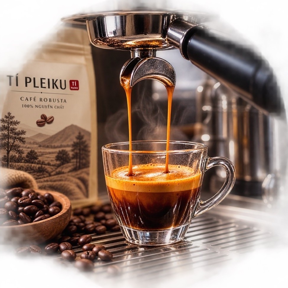 Cafe Pleiku - 500g/ túi - Pha máy