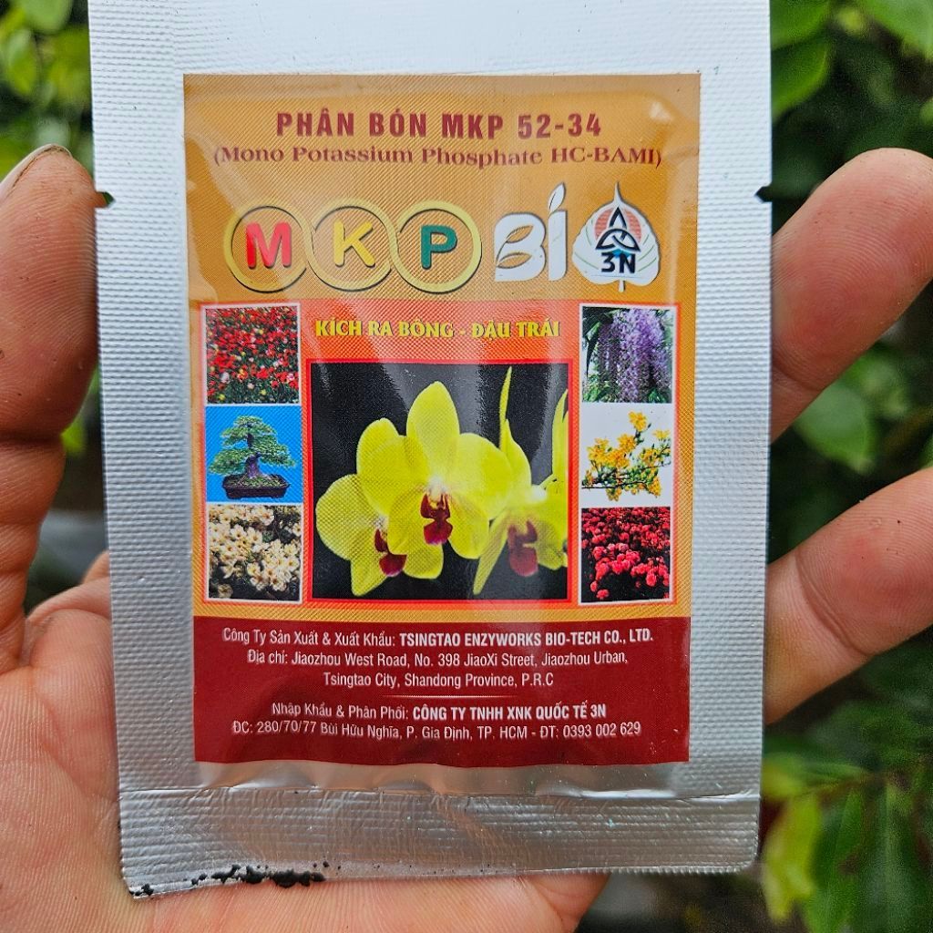 MKP chặn đọt tạo nụ cấp tốc