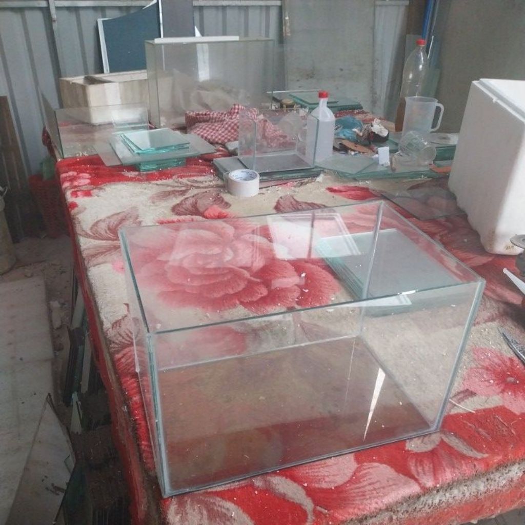 hồ kính cũ 40x25x25 có trầy xước không phải hồ mới