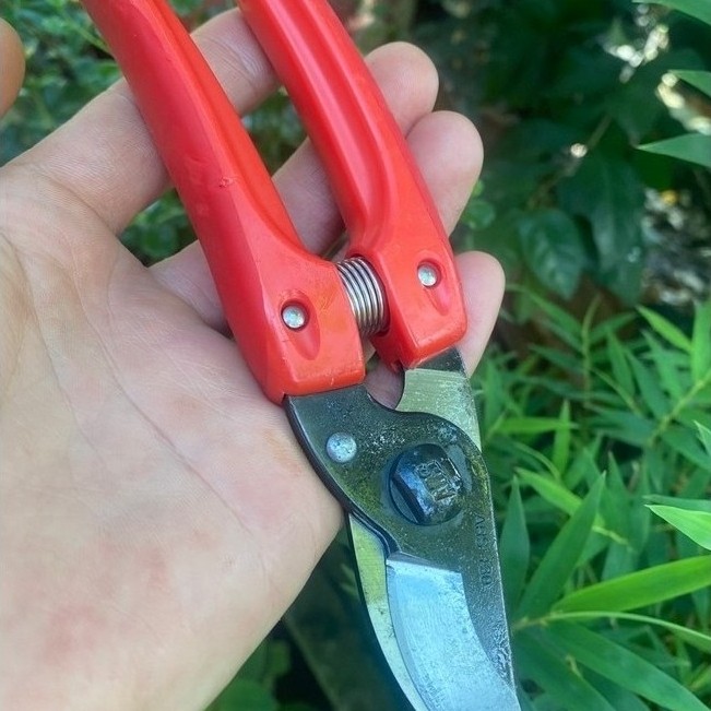 kéo cắt cành nhật bản ars corporation 130-18,5cm.