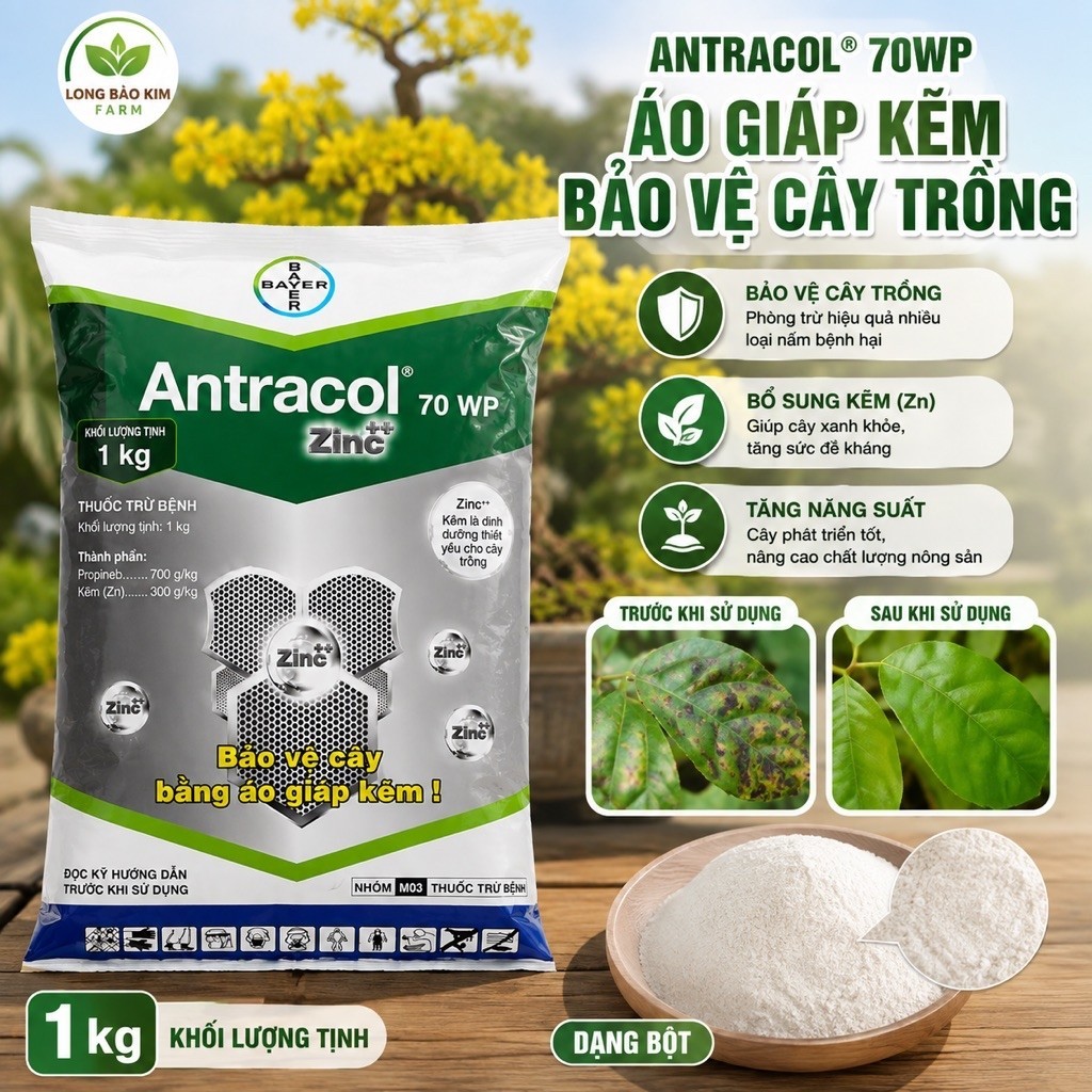 Antracol 70WP Zinc+ 1KG – Propineb 700g/kg + Kẽm Zn 300g/kg, Bảo Vệ Cây Trồng