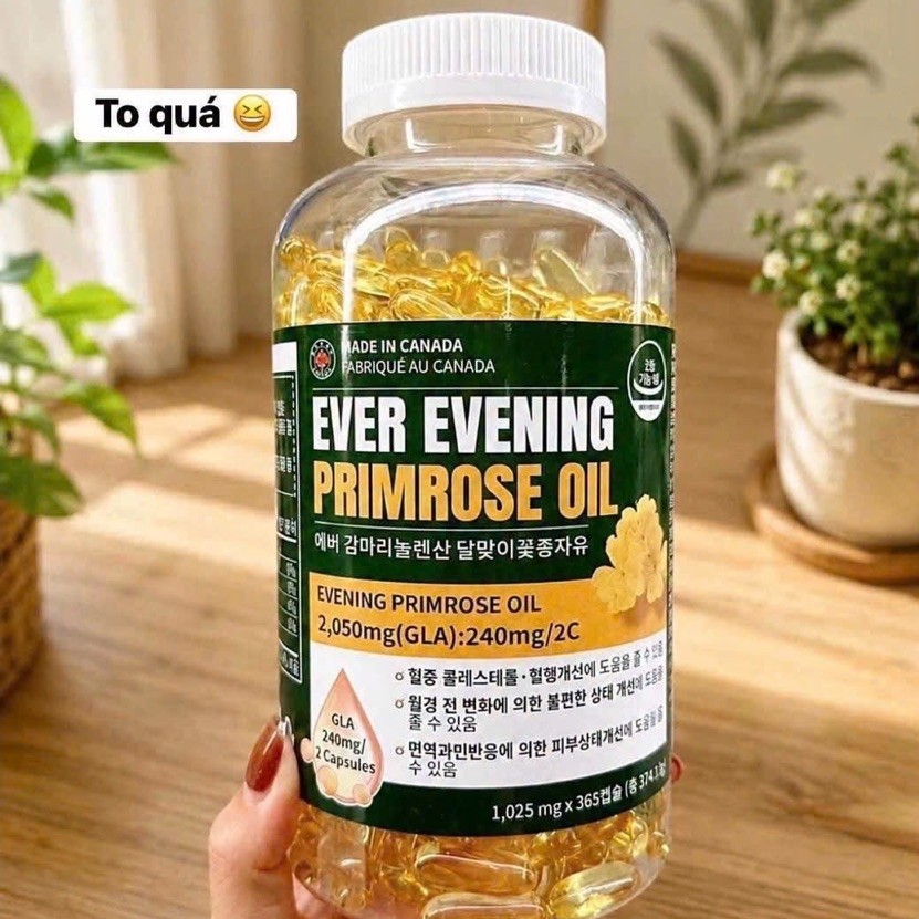 🌸 **TINH DẦU HOA ANH THẢO XANH EVER - EVENING PRIMROSE OIL - HỘP 365 VIÊN** 🌟