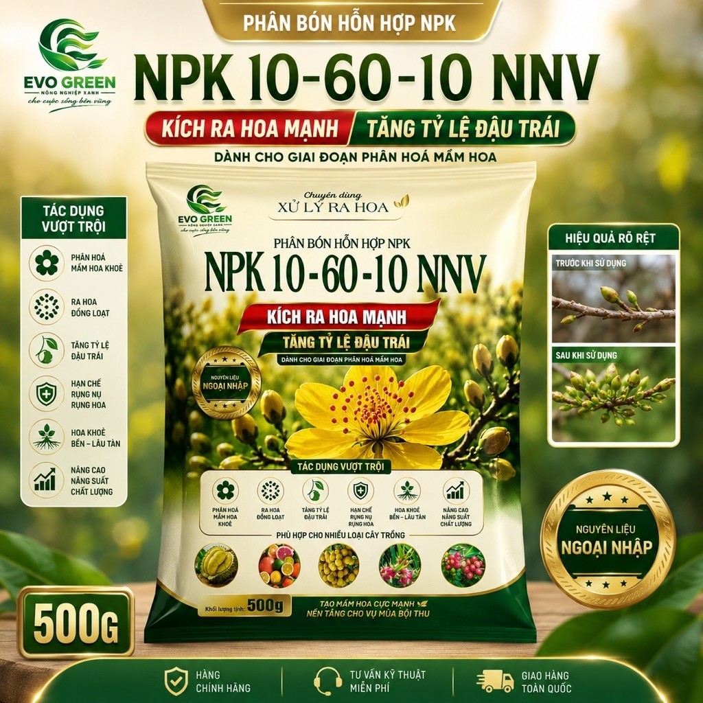 Phân Bón Kích Ra Hoa NPK 10 60 10 | 500g – Kích Mầm Hoa giúp Ra Hoa Đồng Loạt, Xử lý Ra Hoa Nghịch V