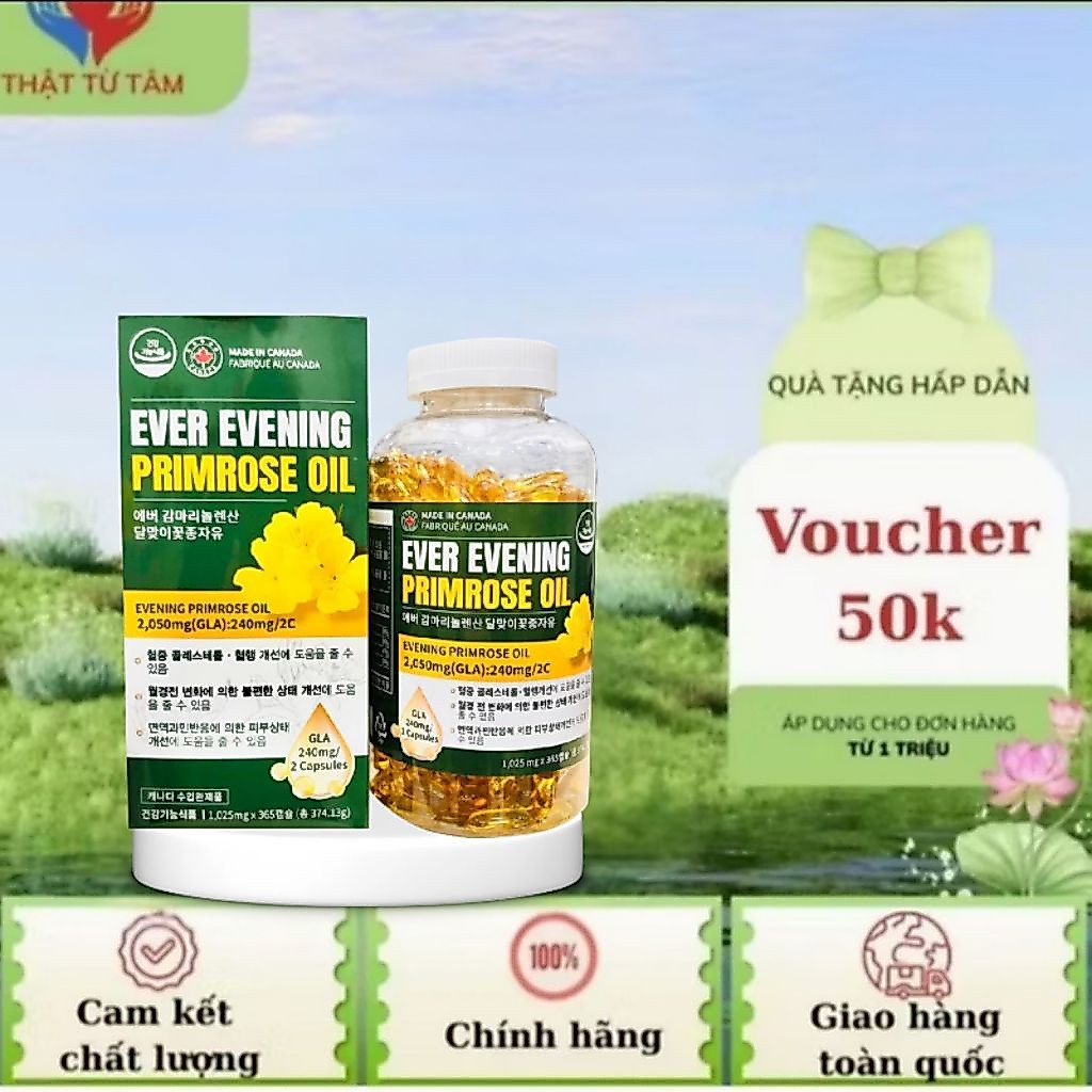 Viên uống tinh dầu hoa anh thảo Ever Evening Primrose Oil 365 viên Hàn Quốc