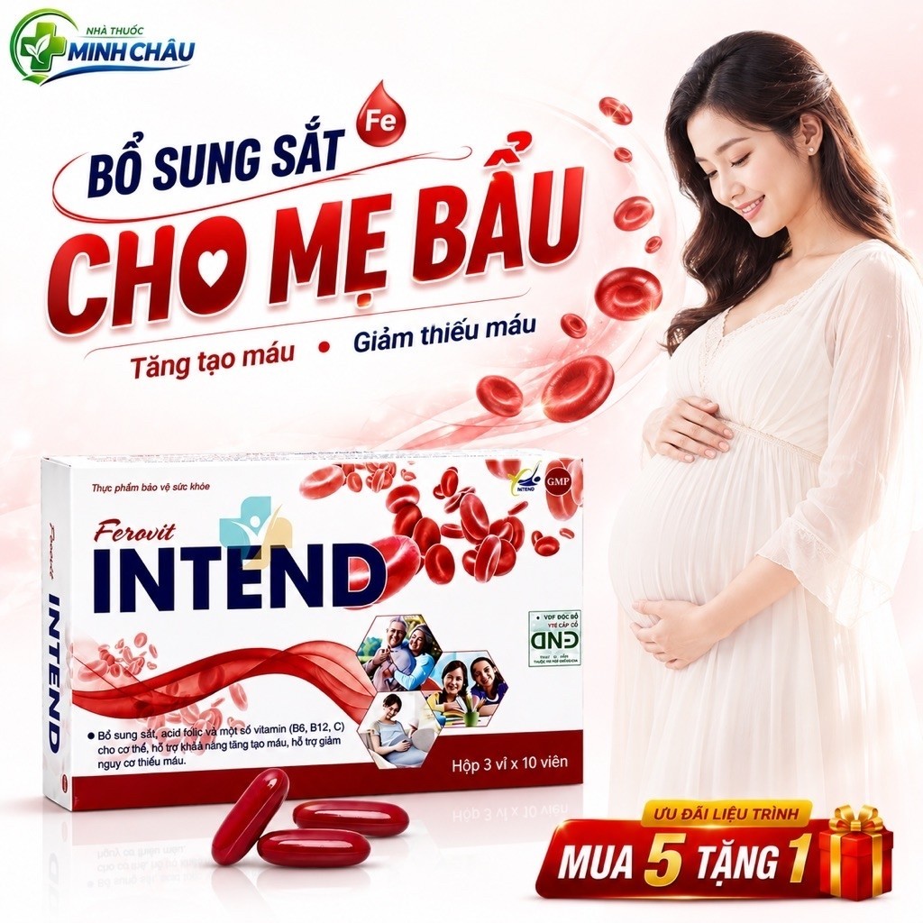Viên Sắt Bổ Máu Ferovit Intend – Bổ Sung Sắt, Acid Folic Cho Bà Bầu, Người Thiếu Máu
