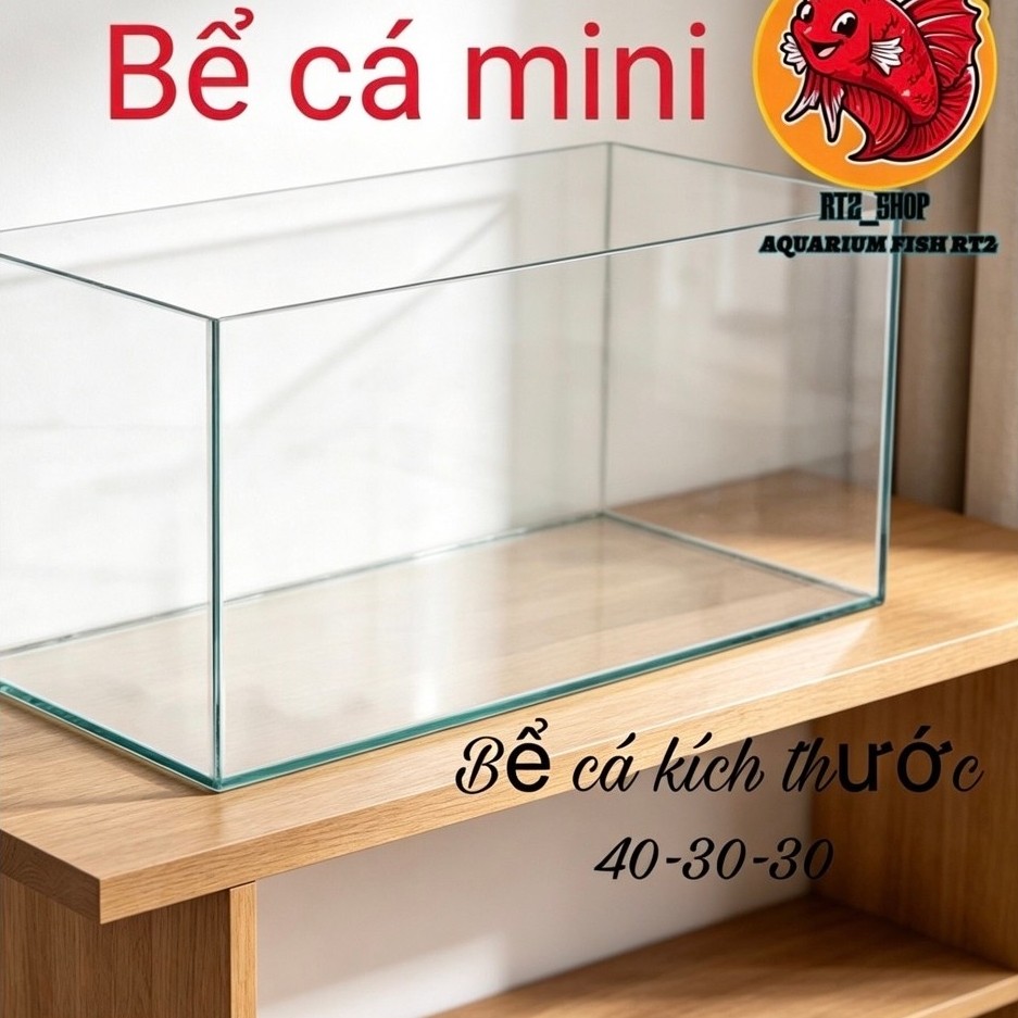 Bể cá mini 40x30x30cm kính 5mm mài cạnh thủ công