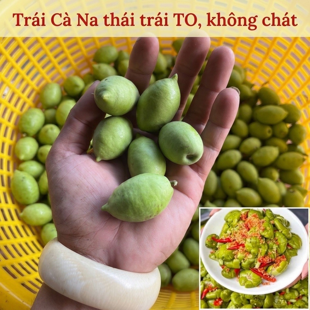 1kg Trái Cà Na thái - trái To hạt nhỏ không chát. CHỈ GỬI CÁC TỈNH MIỀN NAM
