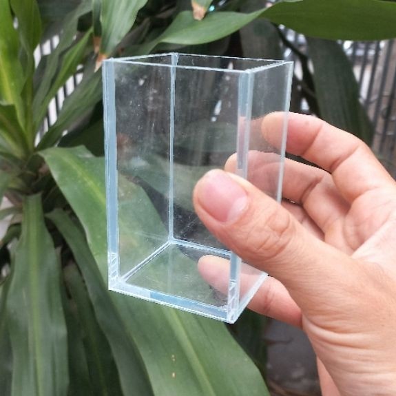 Hồ Show Cá molly,guppy 6/6/10 Siêu Trong.