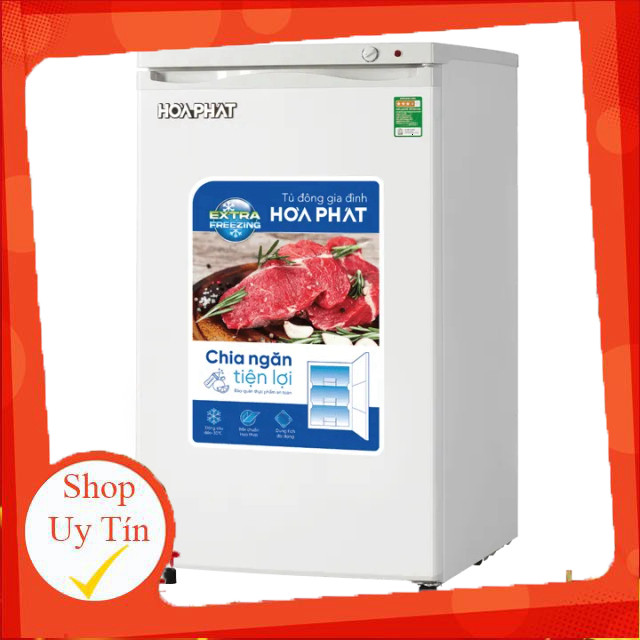 ( Tủ đông đứng Hòa Phát 106 lít HPF UAH6106 )