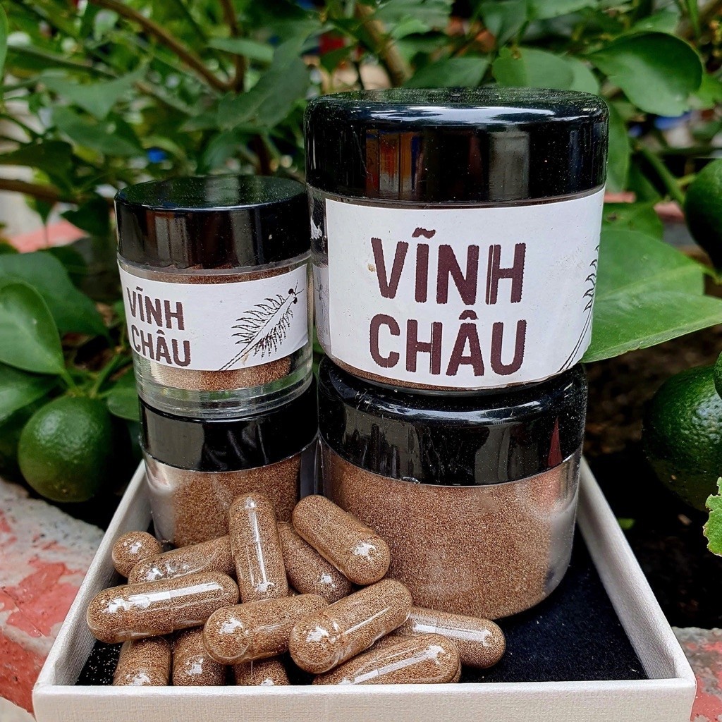 Cám artemia Vĩnh Châu - phù hợp nuôi sinh khối