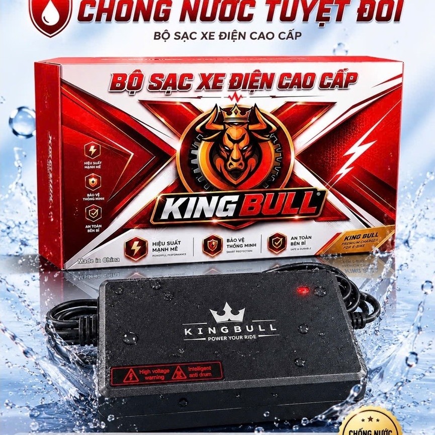 Sạc xe điện 48V-12AH, 48V-20AH, 60V-20ah các loại tự ngắt