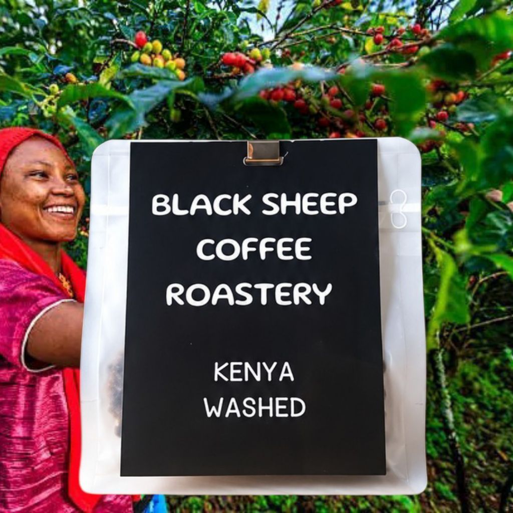 Cà phê đặc sản KENYA KANGADA WASHED AA TOP rang LIGHT dành cho pour over-túi 180GR