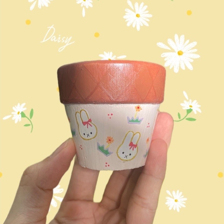 Chậu trồng sen đá size 5x8