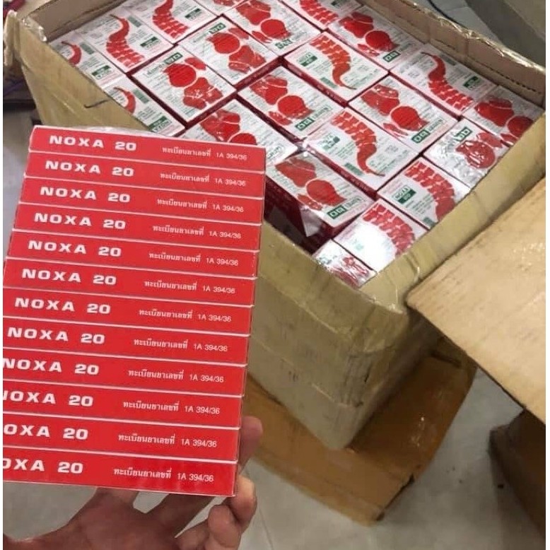 Combo 1 lốc bánh quy hiệu noxa 20 (12 hộp)