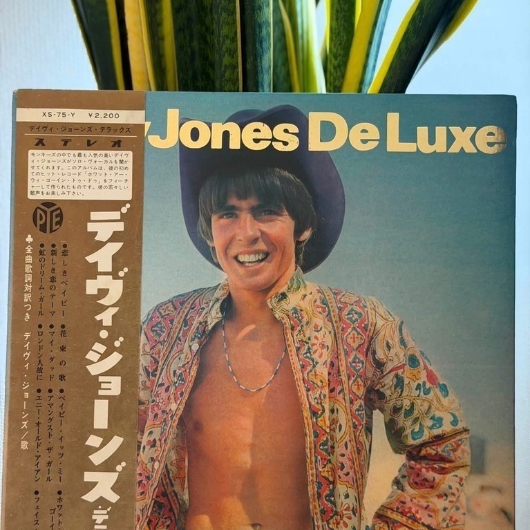 🌼 Đĩa than Davy Jones – Jones De Luxe | OBI