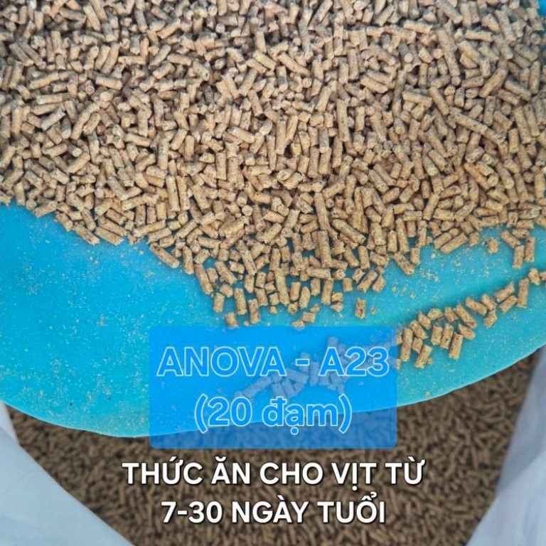 ANOVA-A23. Thức ăn cho vịt, ngan con từ 7 đến 30 ngày tuổi