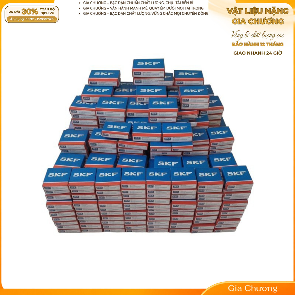vòng bi bạc đạn SKF 6304